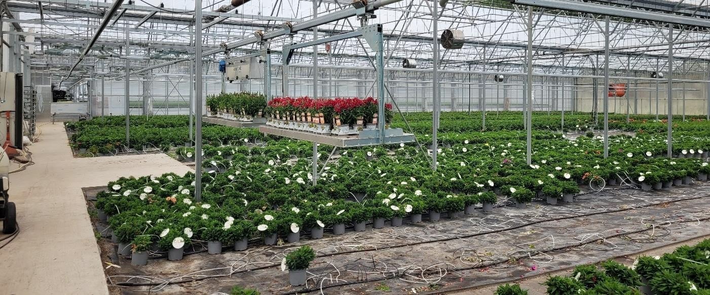 Fungert som gartneri over flere år.jpg Galleribilde