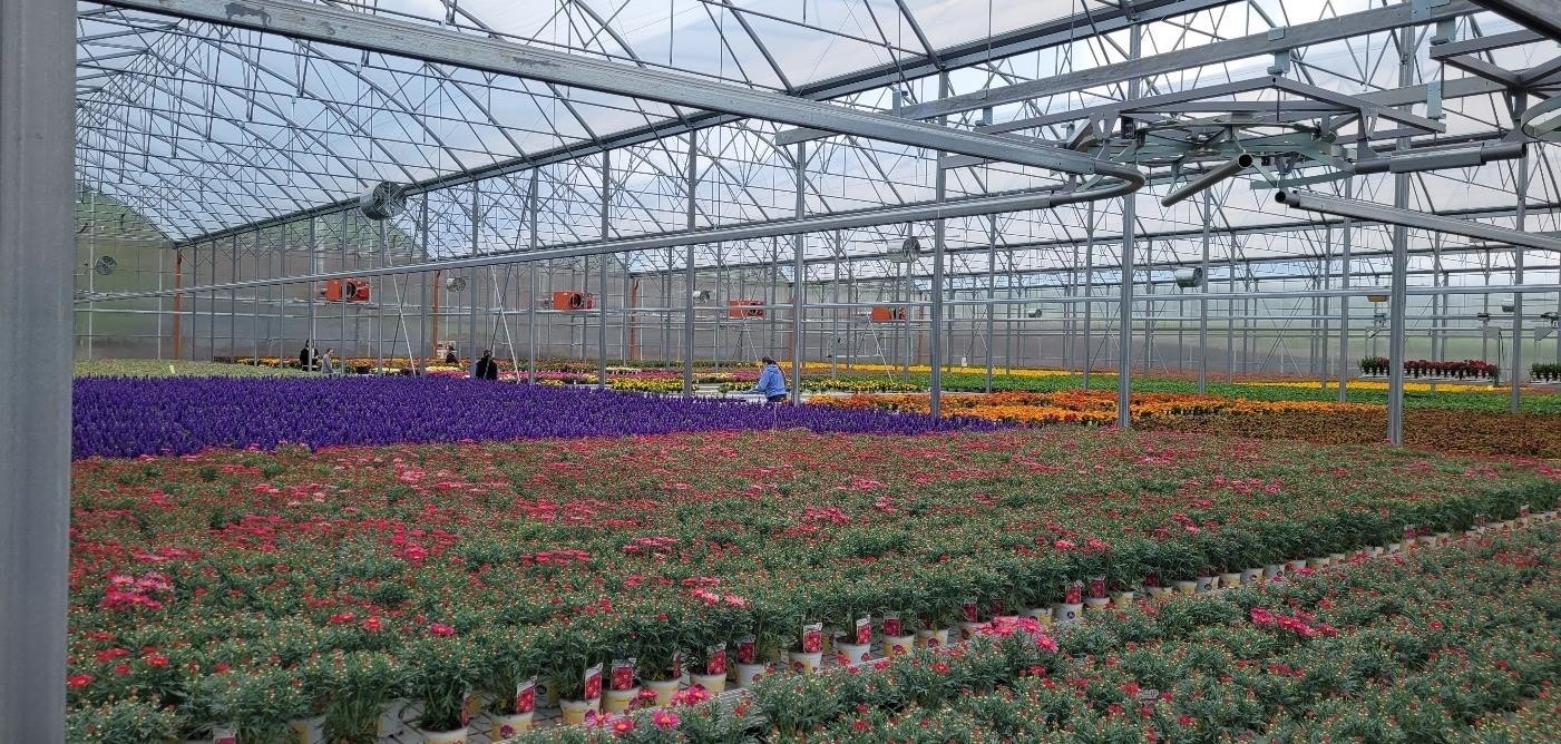 Oversiktsbilde innvendig.jpg Galleribilde