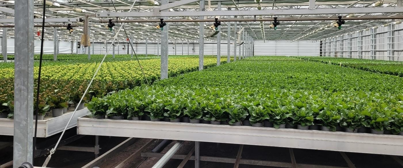 Stort innvendig.jpg Galleribilde