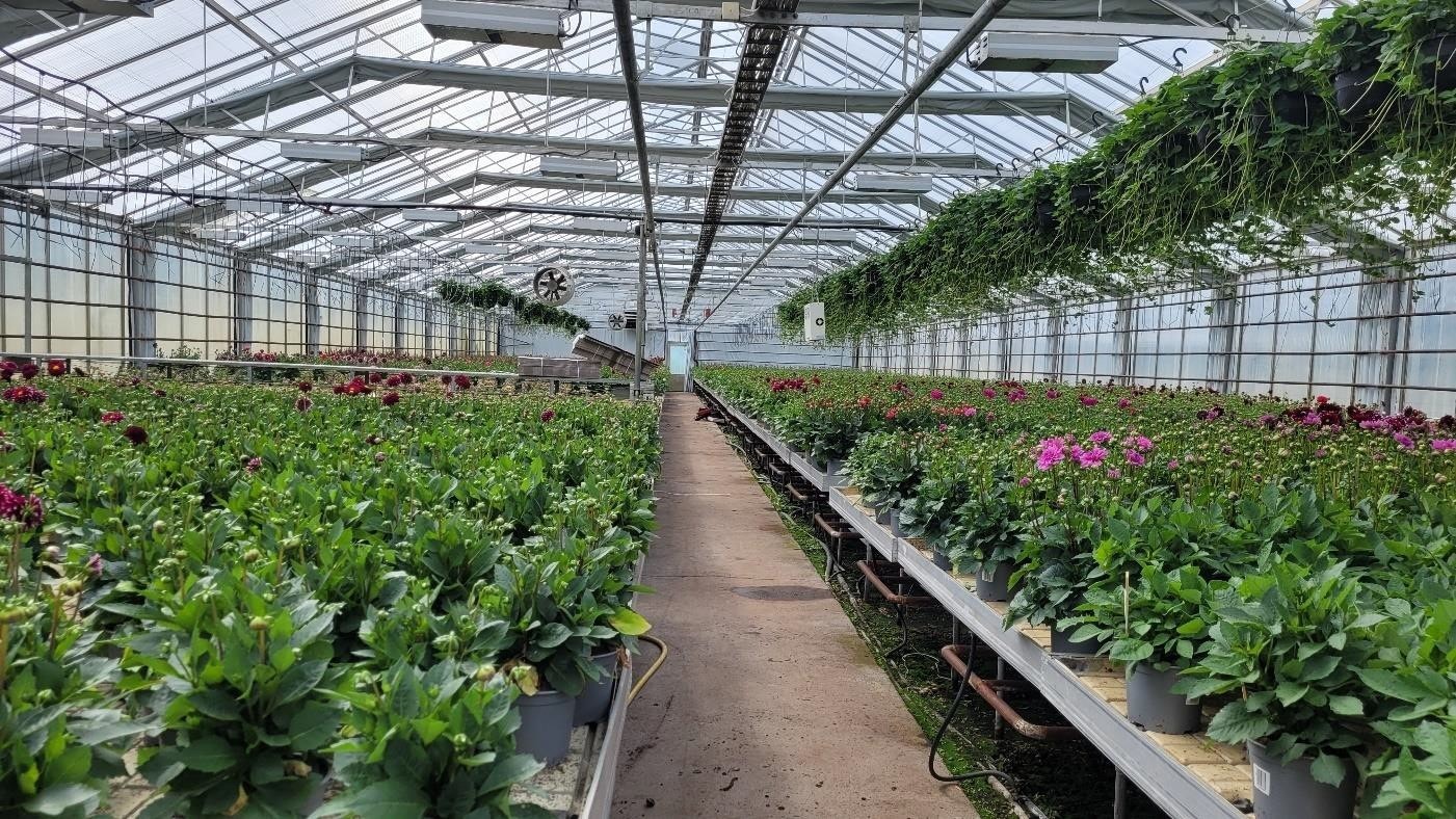 Innvendig når det var gartneri.jpg Galleribilde