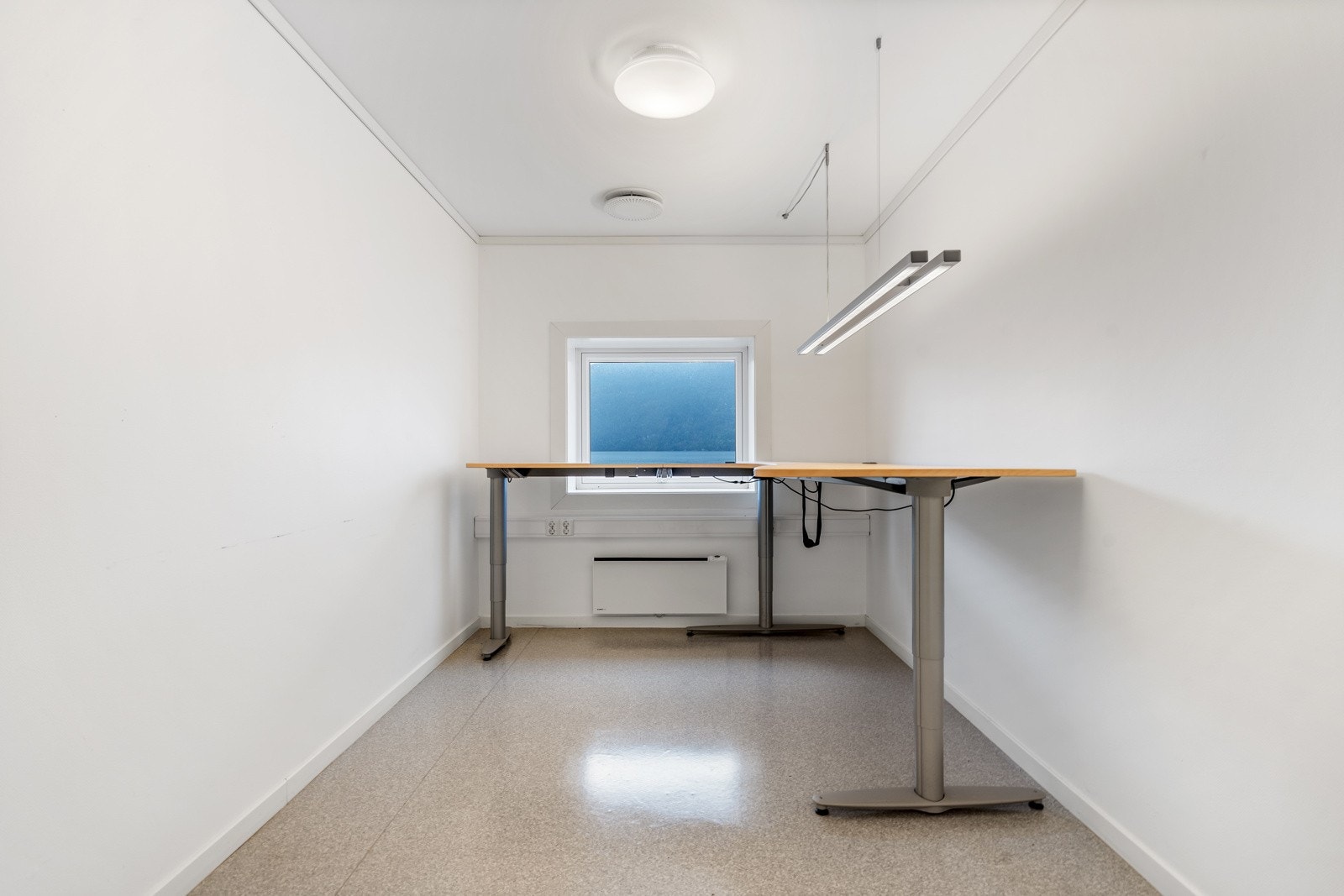 TIM01553 Galleribilde