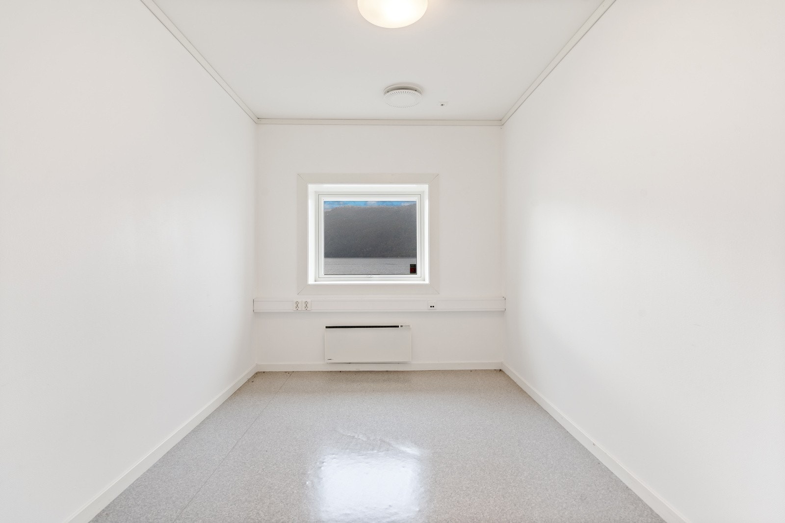 TIM01543 Galleribilde