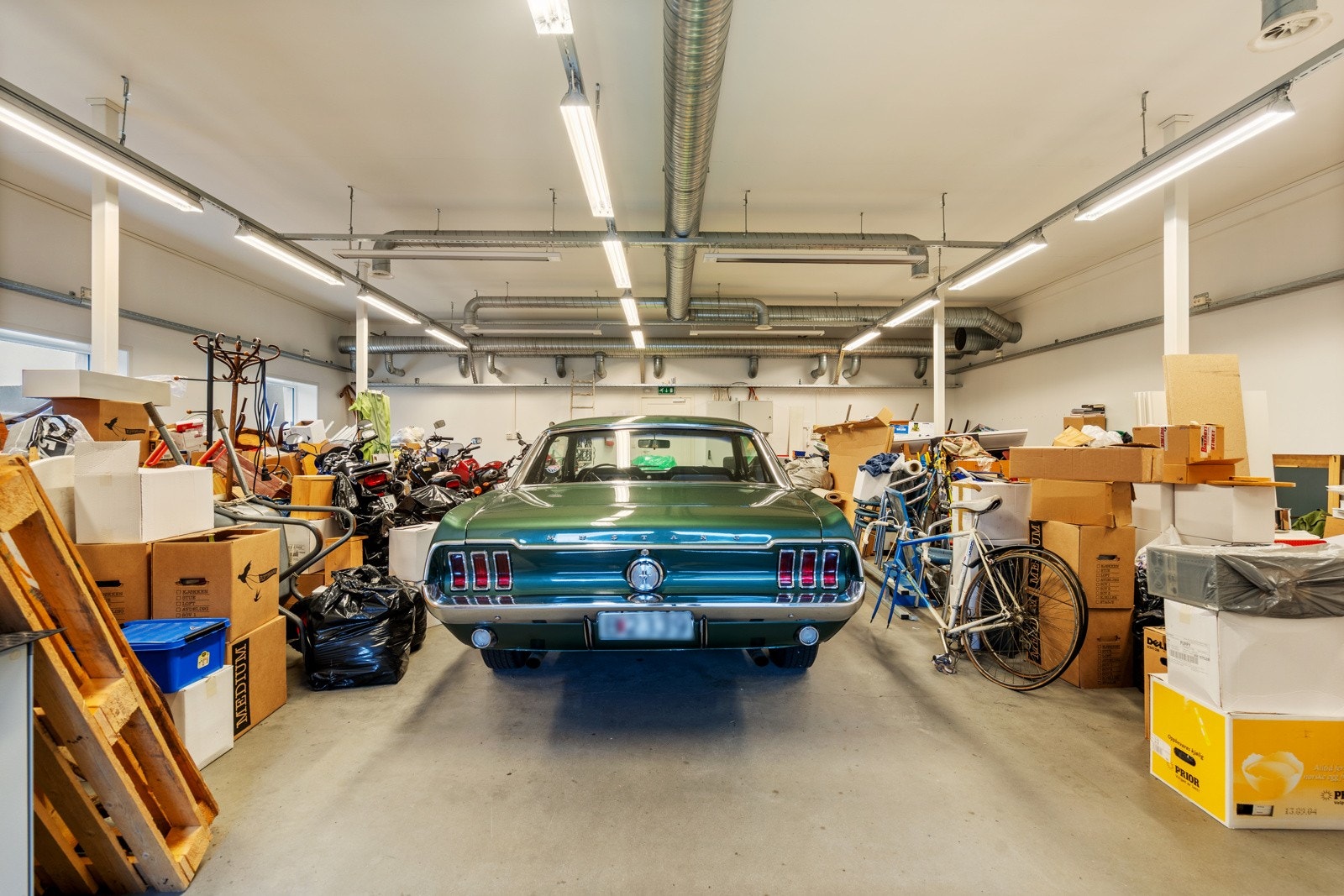 TIM01513 Galleribilde