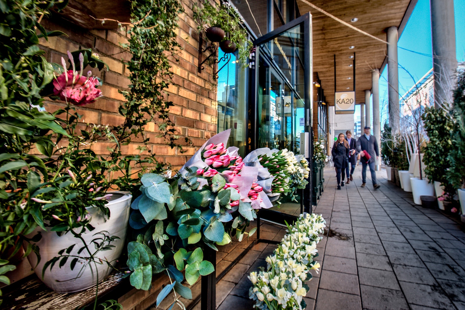 Nærområde Galleribilde