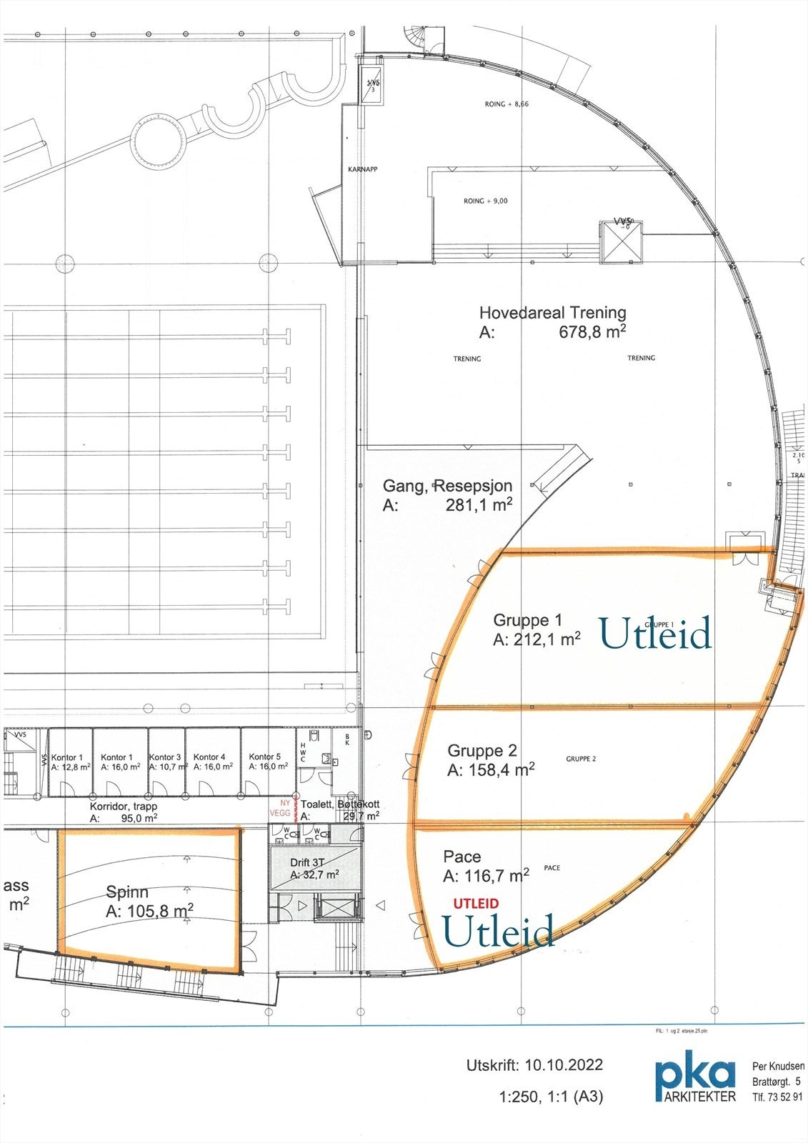 Arealskisse med utleiede areal. Galleribilde