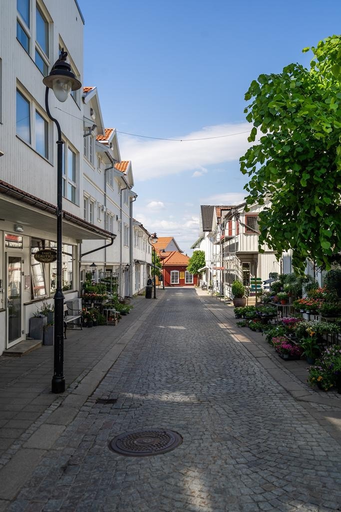 019foto Galleribilde