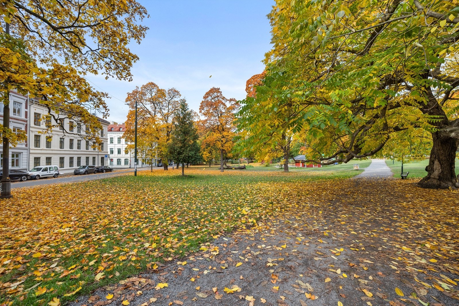 Området Sofienbergparken Galleribilde