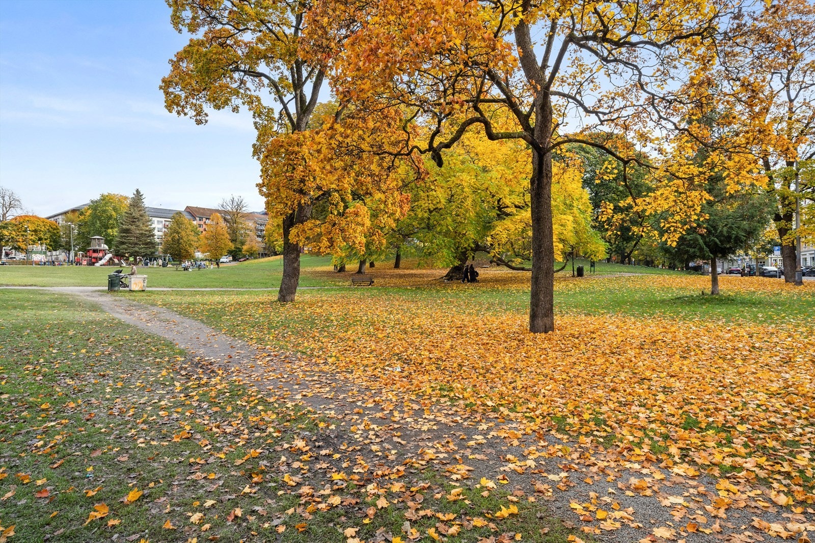 Området Sofienbergparken Galleribilde