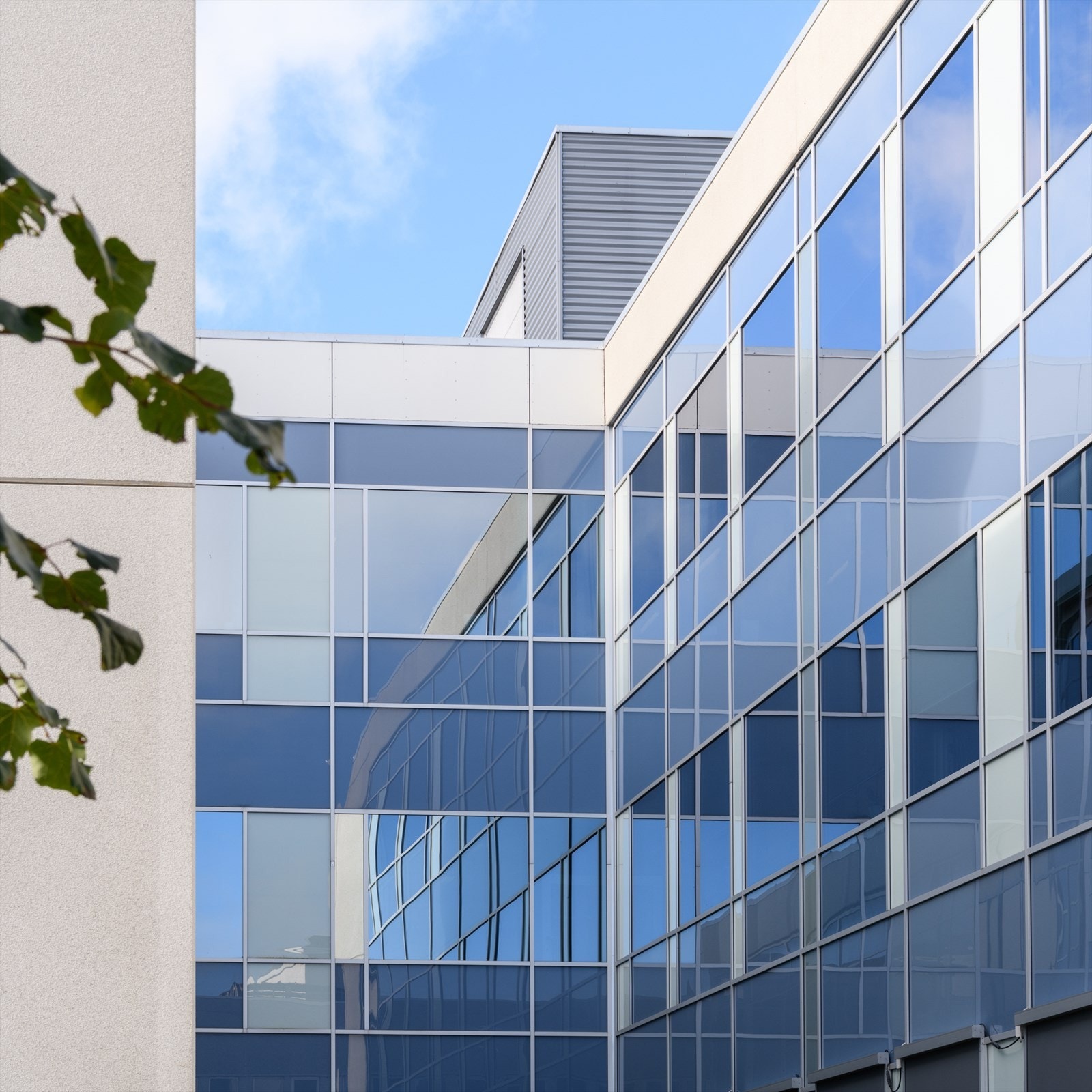 Torgveien Galleribilde