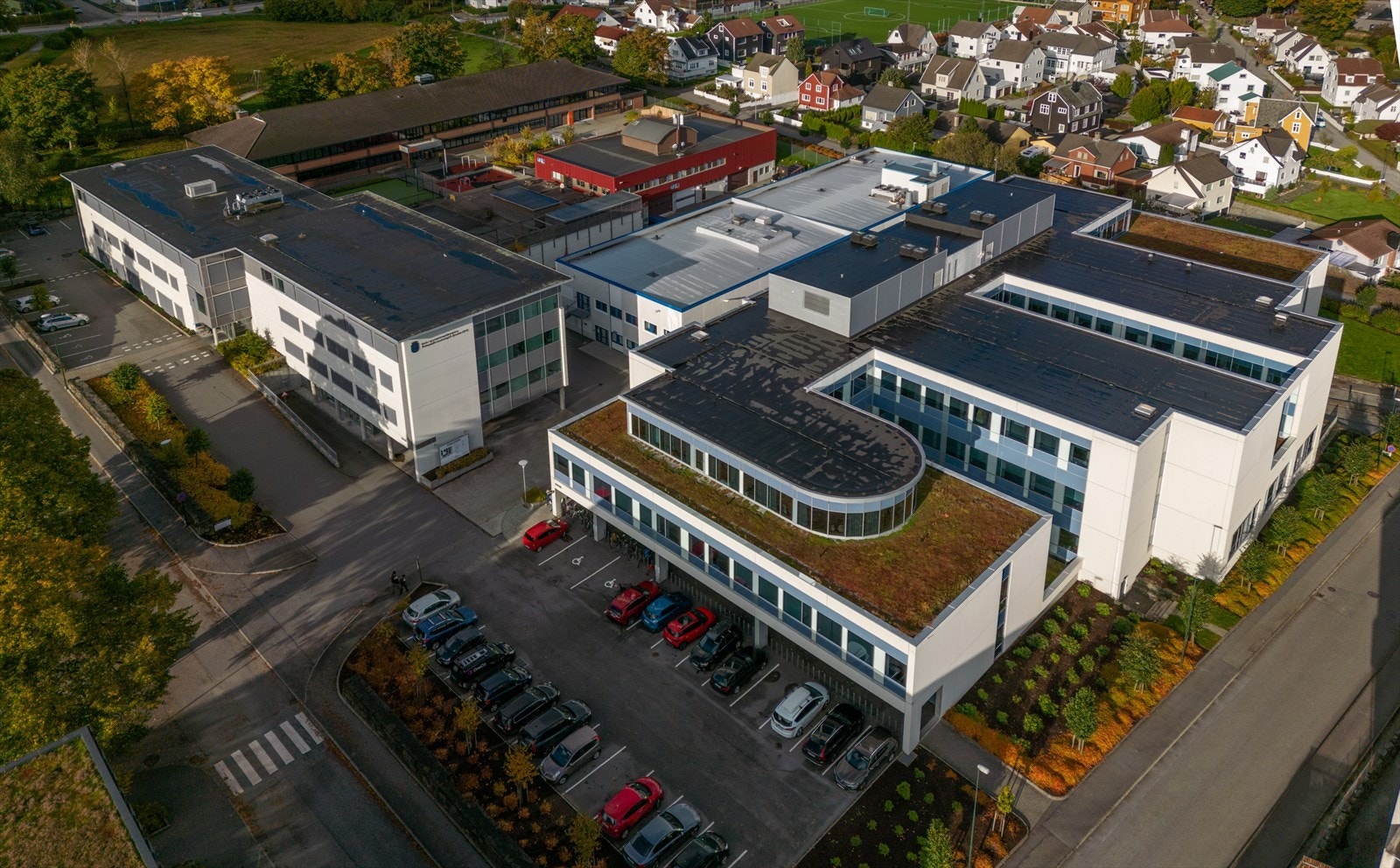 Torgveien Galleribilde