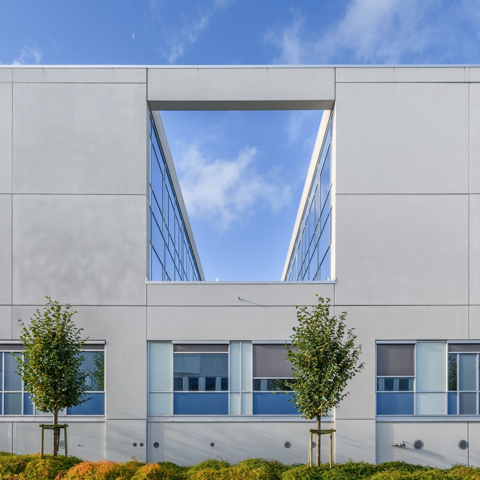 Torgveien Galleribilde