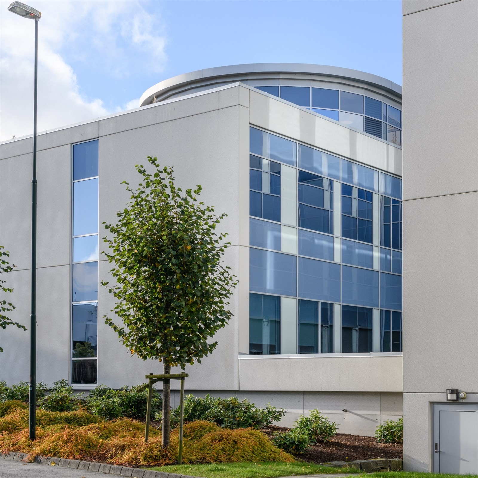 Torgveien Galleribilde