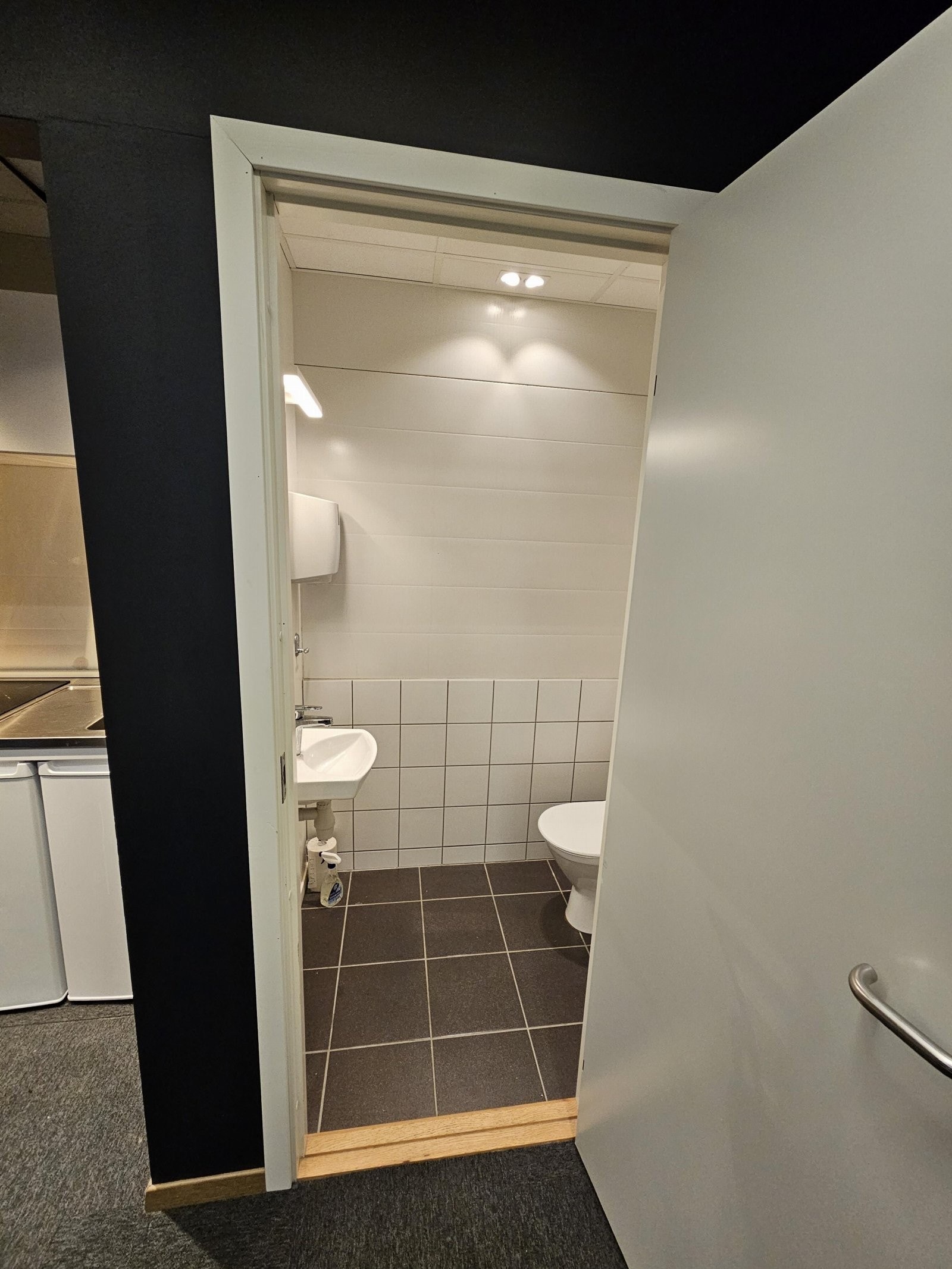 Toalett Galleribilde