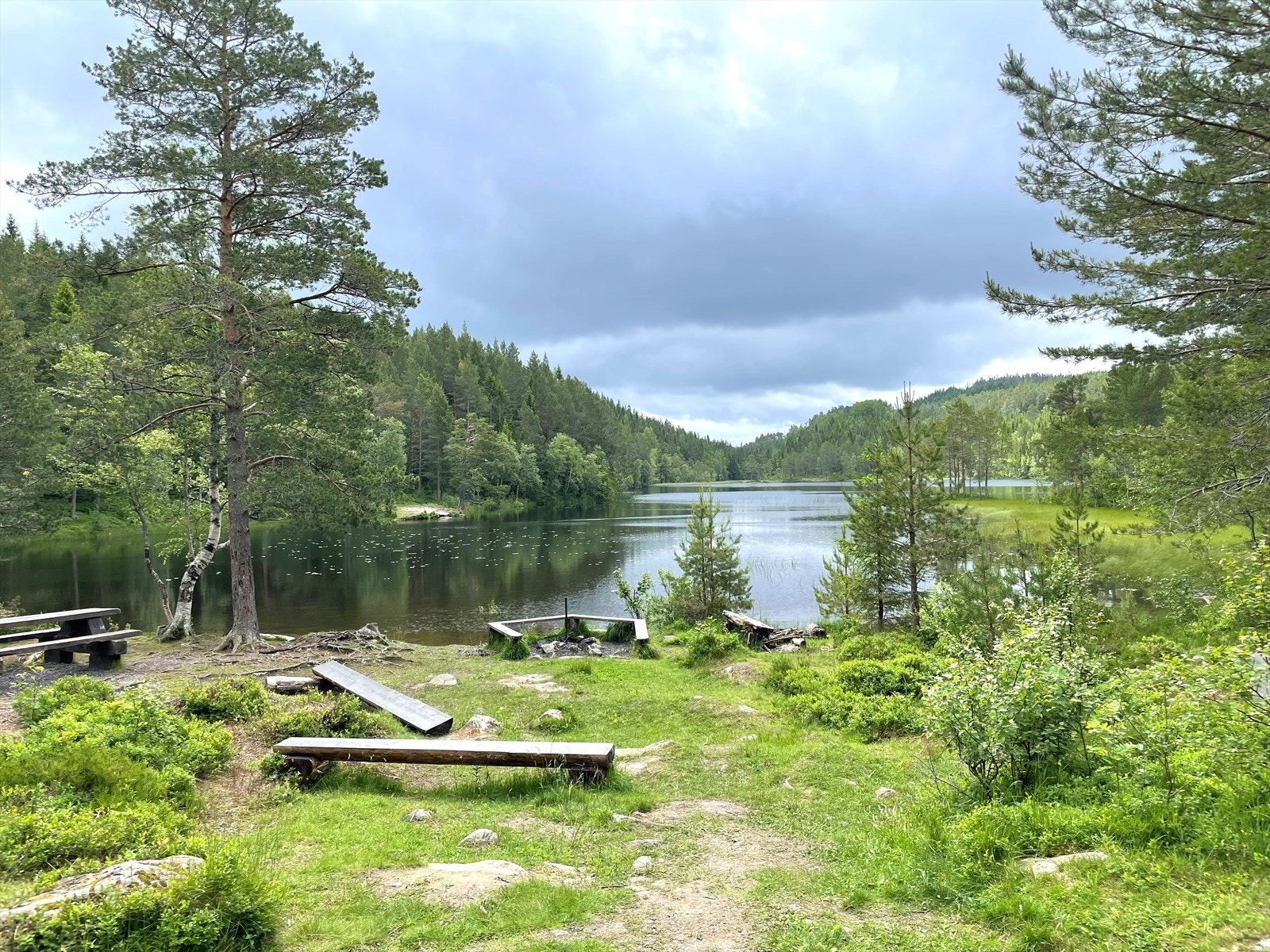 Lunchplass 3 minutter opp i skogen. Galleribilde