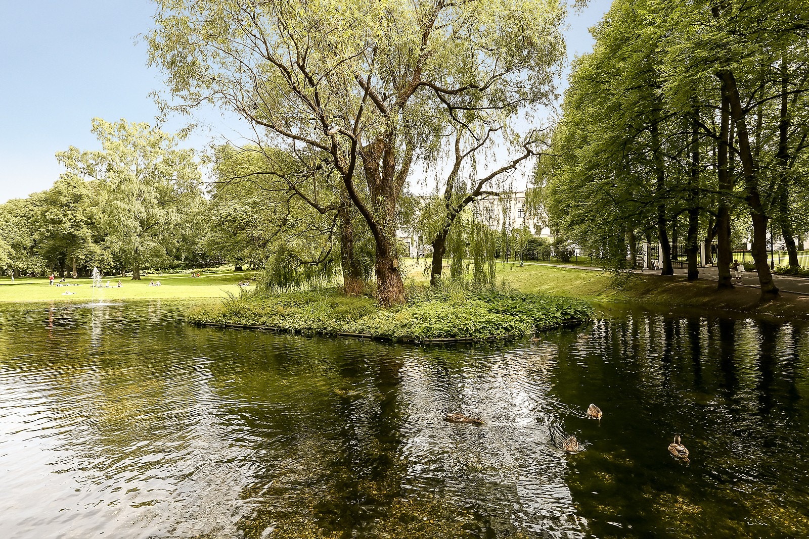 Nærområdet Galleribilde