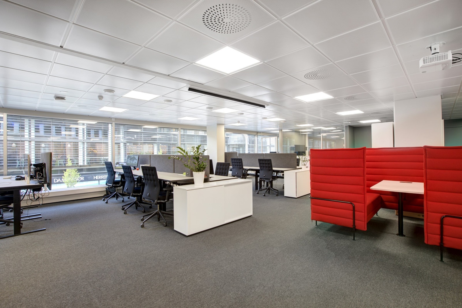 Åpent landskap Galleribilde