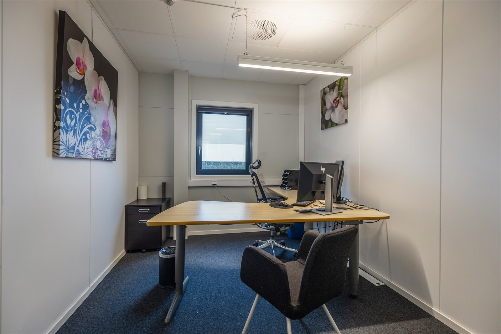 6 cellekontorer i kontordel. Galleribilde