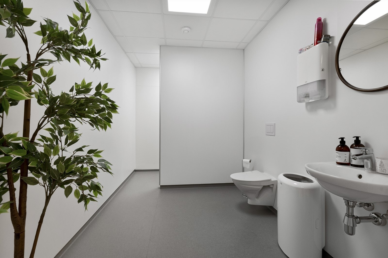 DSCF3560.jpg Galleribilde