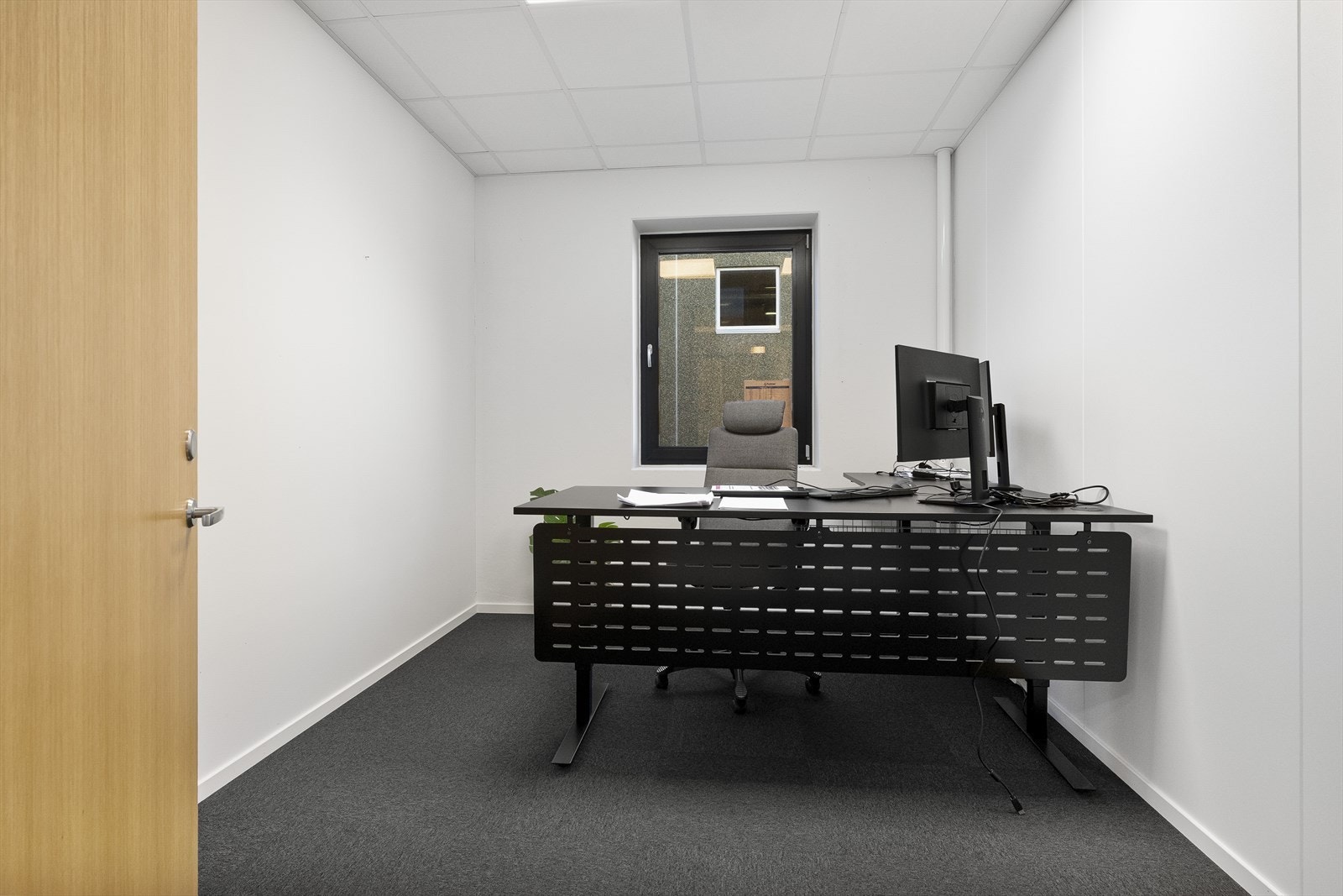 DSCF3557.jpg Galleribilde