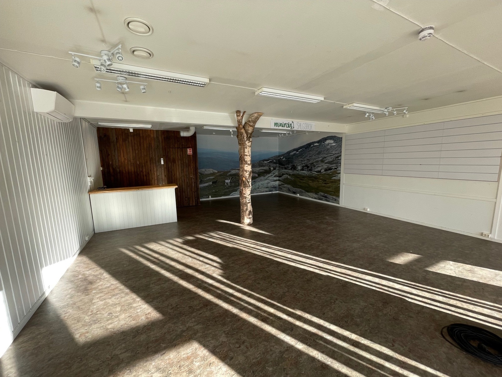 Lyse og fine lokaler med direkte inngang fra bakkeplan. Galleribilde