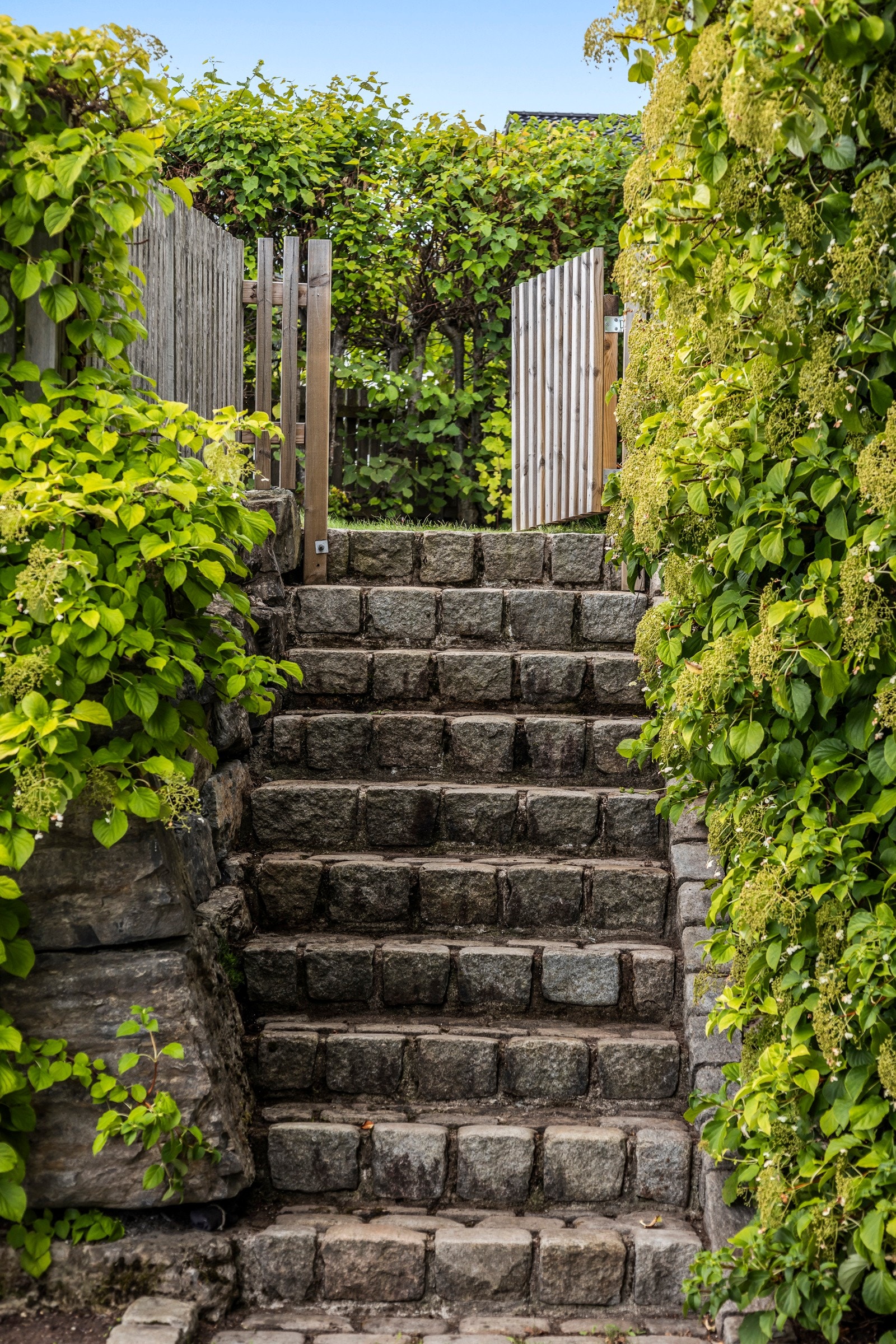 Velkommen inn til en usjenert og frodig hage. Trappen er laget av gamle brostein fra Oslo Galleribilde