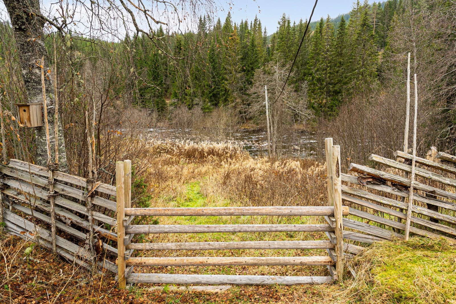 Det er også åpning i skigard slik at man har enkel adkomst ned til elva Galleribilde
