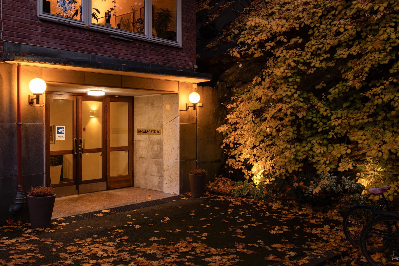 Effektbelysning av plantevegg ved hovedinngang (installert 2017) skaper et varmt og inviterende inngangsparti på mørke høst- og vinterkvelder. Galleribilde