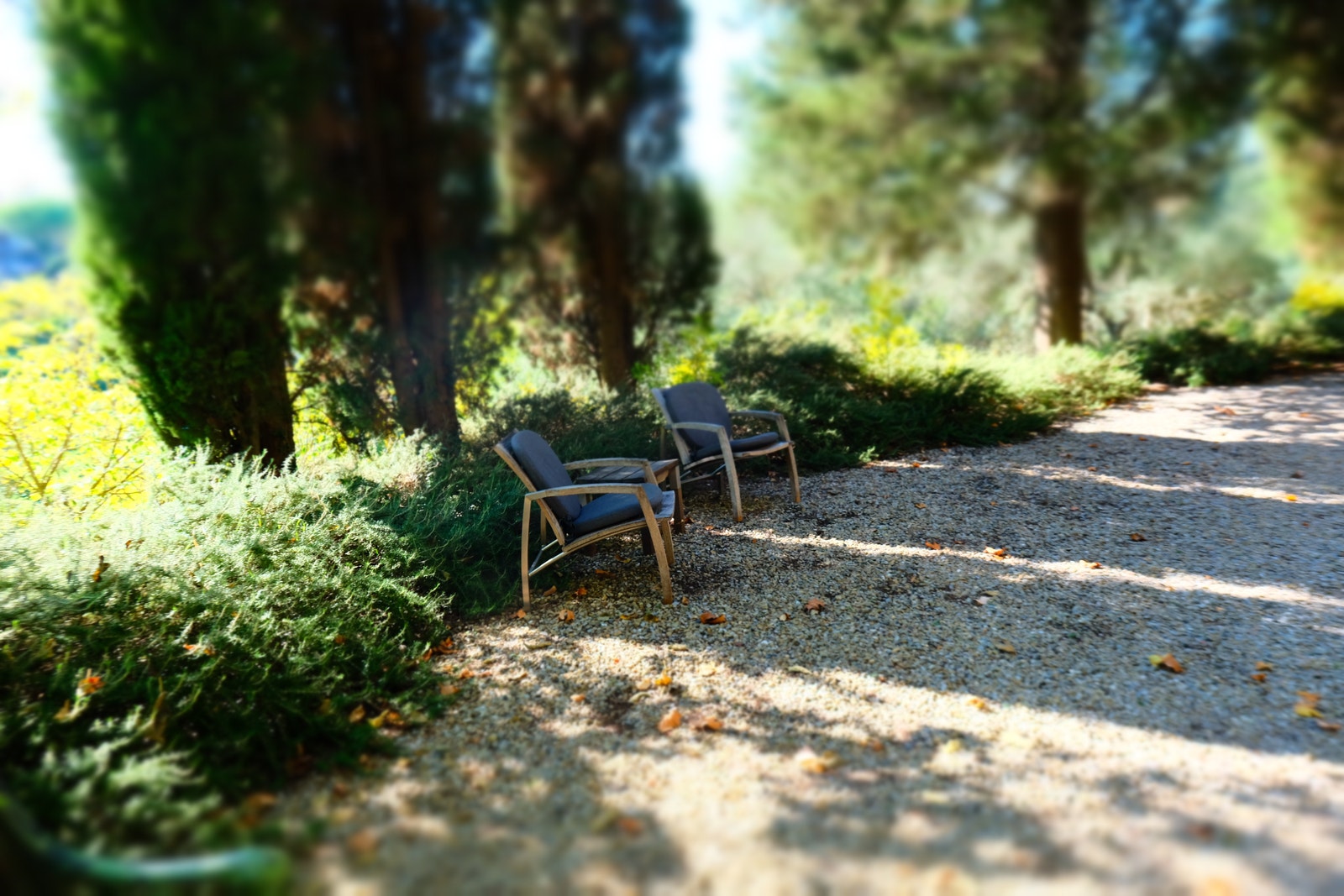 Hagen nå i november. Galleribilde