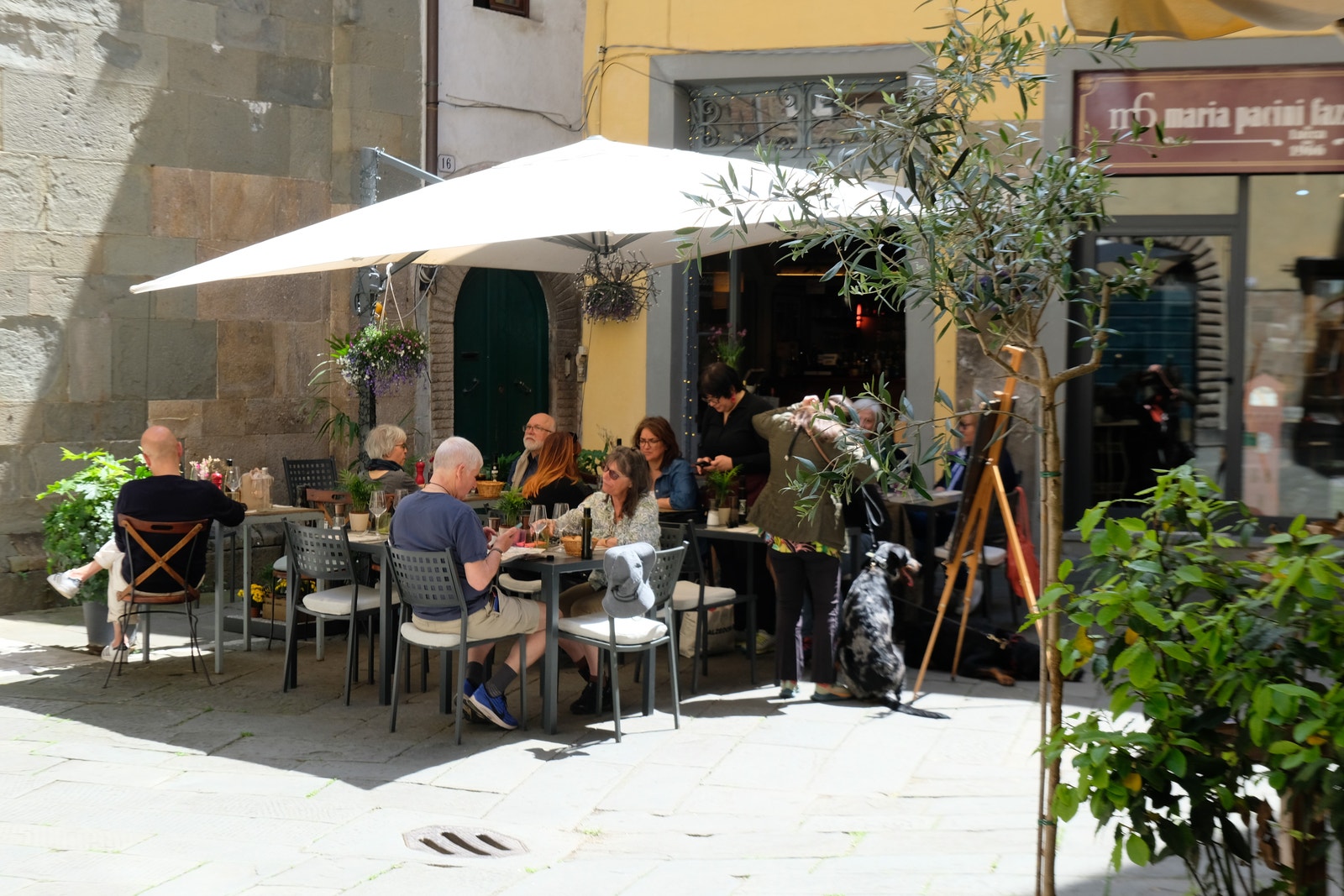 Lari i slutten av oktober 2025 Galleribilde