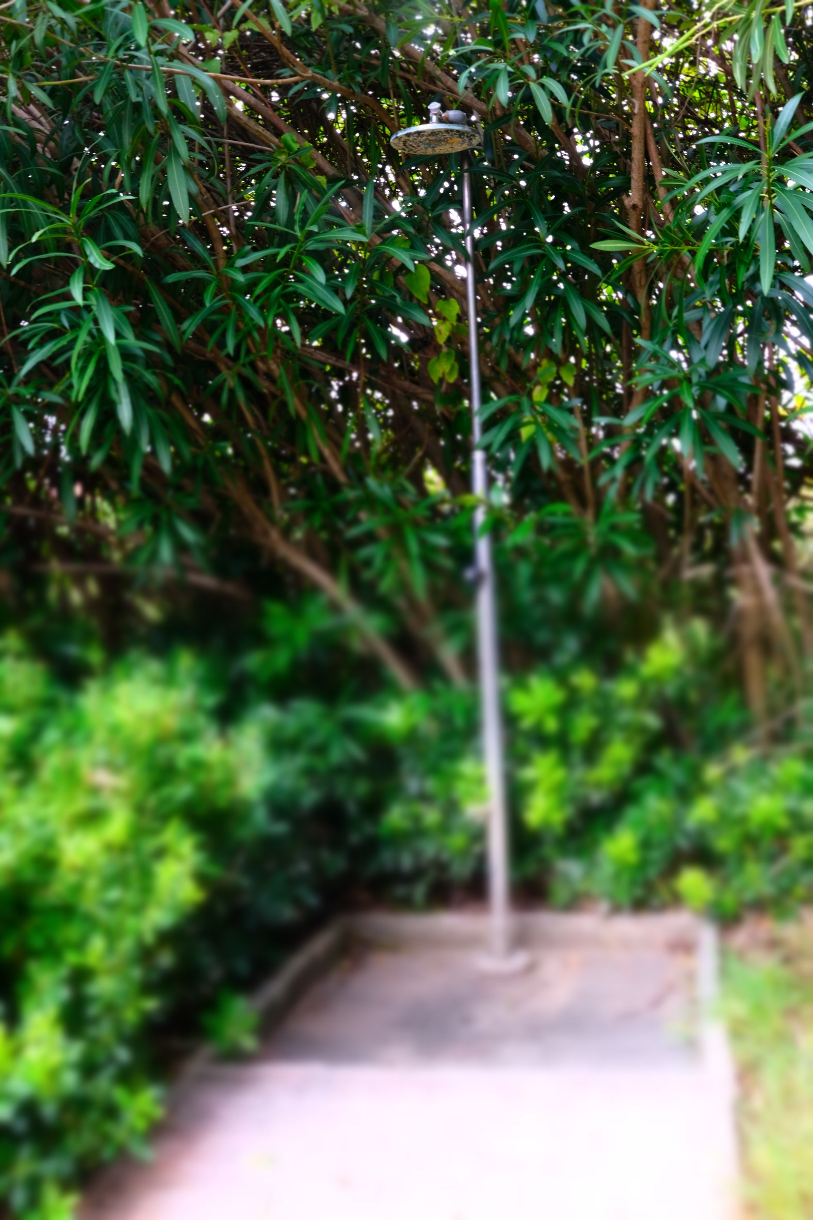 Dusj hvor vi har basseng Galleribilde