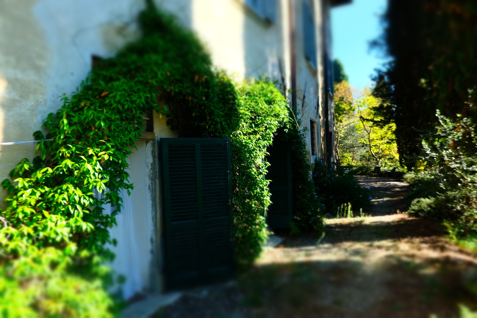 Hagen nå i november. Galleribilde