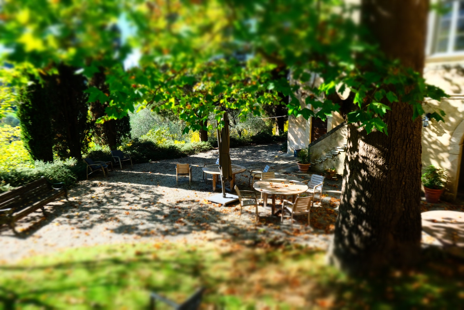 Hagen nå i november. Galleribilde