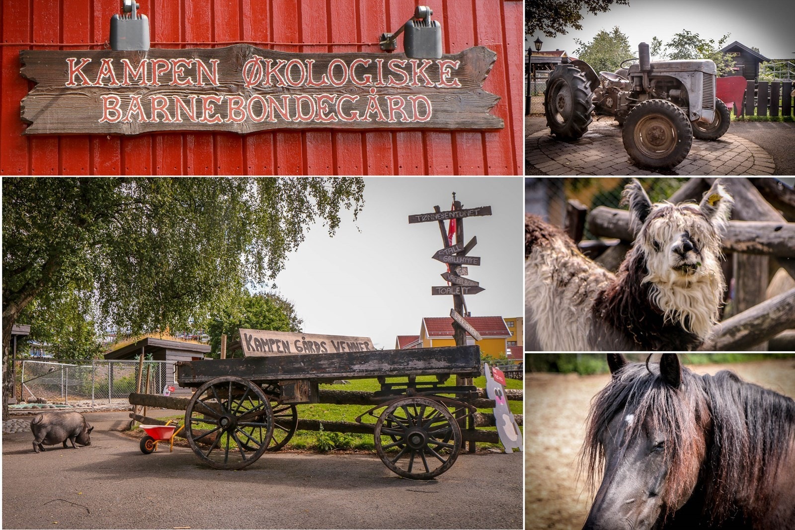Kampen Økologiske barnebondegård. Galleribilde