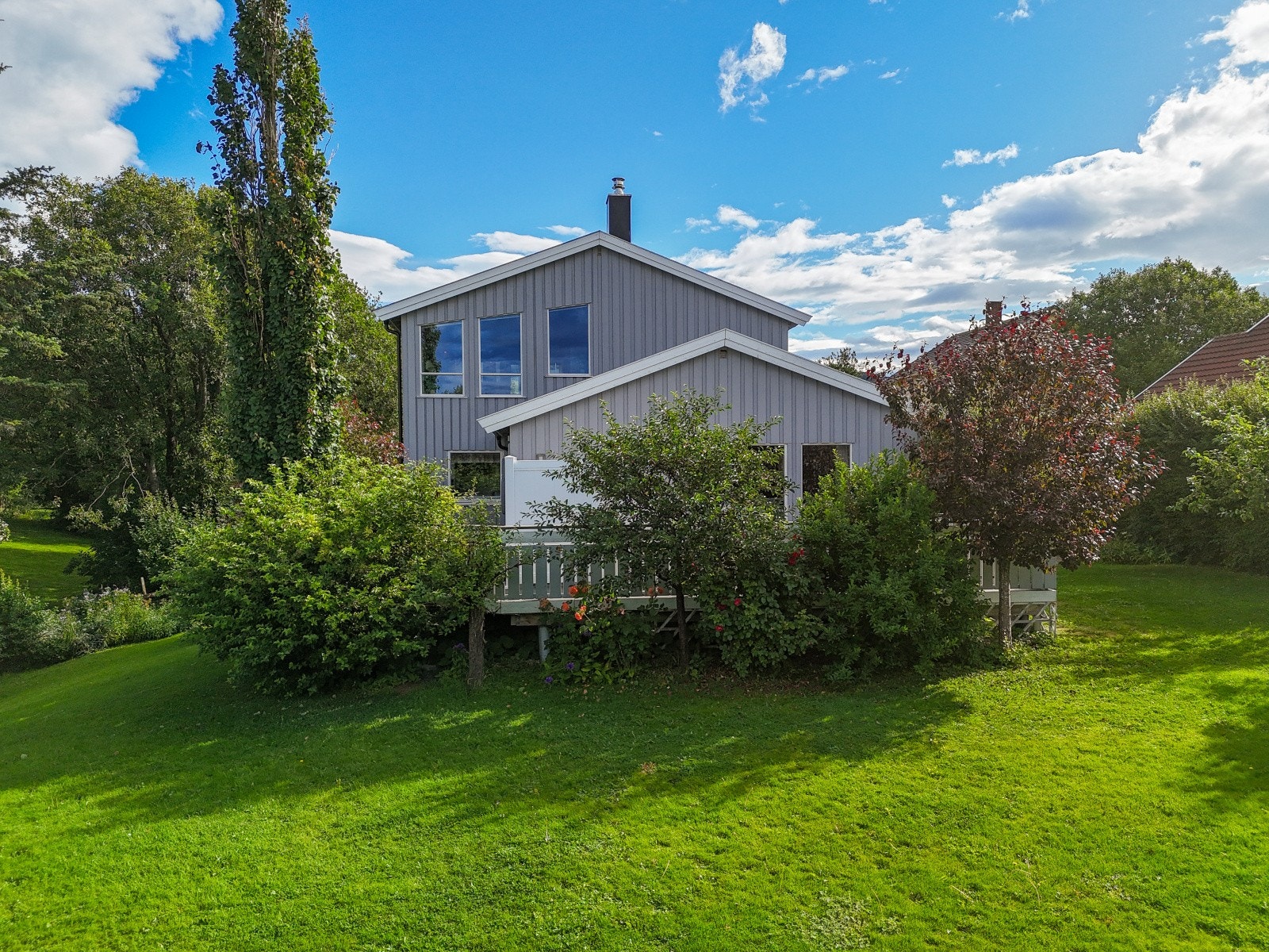 Det er nedgang fra terrassen til en frodig hage med gressplen og diverse beplantning Galleribilde