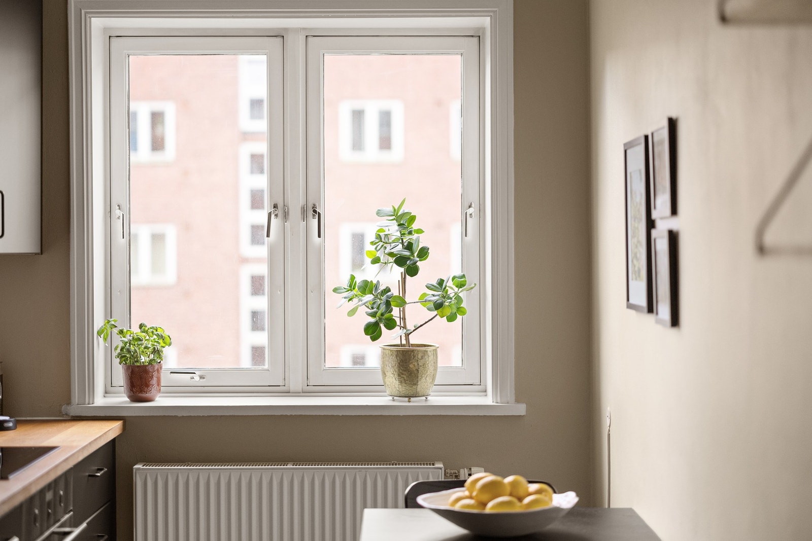 Rommet vender inn mot rolig bakgård. Galleribilde