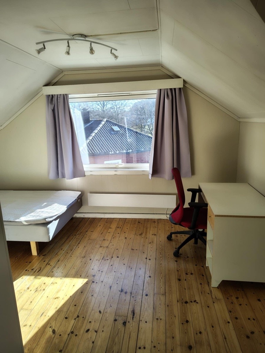Nyere vinduer som slipper inn godt med lys - men lite lyd. Galleribilde