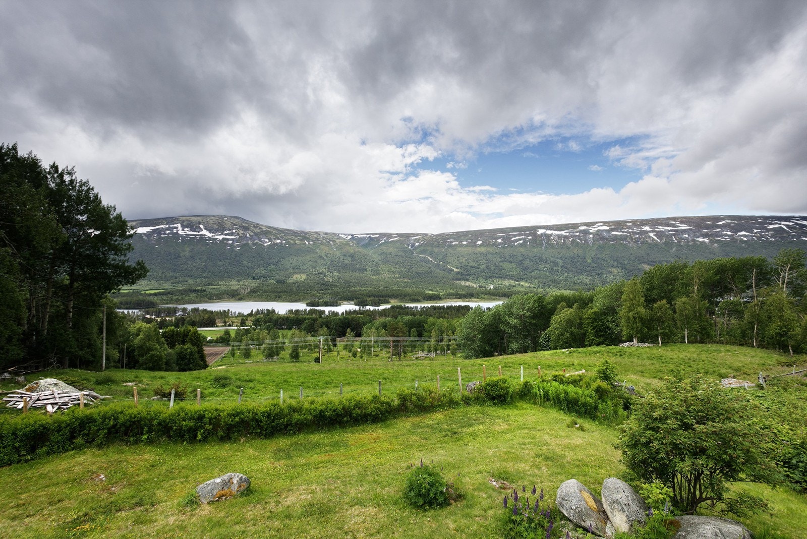 Flott utsikt mot Lesjaskogvannet på sommerstid
Mot sør grenser tomten til beitemark som gir en følelse av rom og landskapets åpenhet Galleribilde