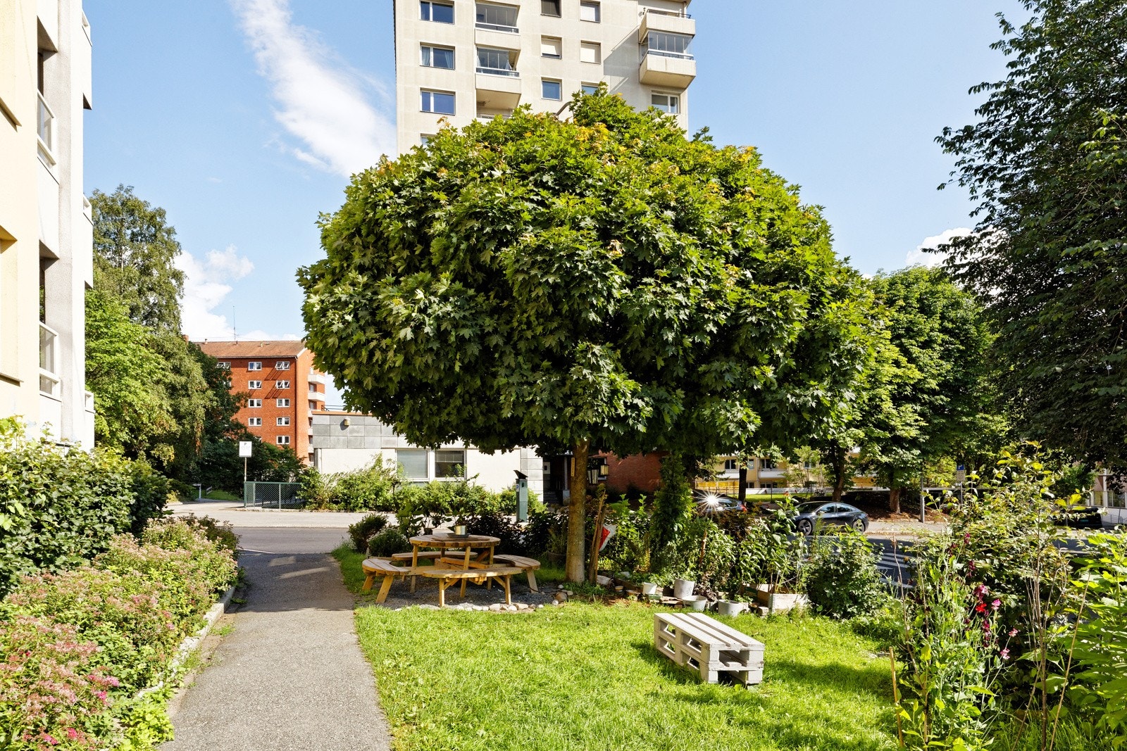 Beboerne disponerer hyggelig grønn bakgård med sittemøblement og beplantning like utenfor døren Galleribilde