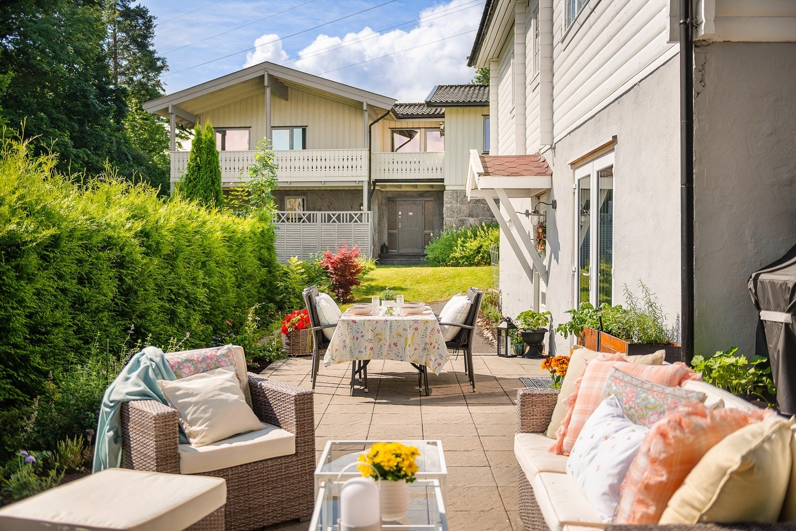 - Uteområde på sommeren - Galleribilde