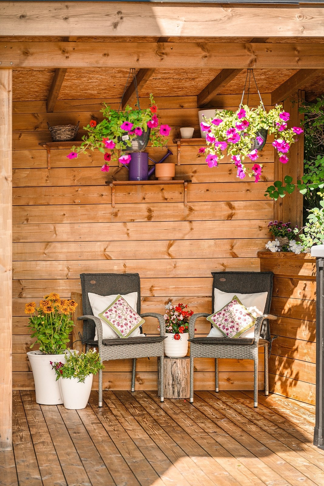 - Uteområde på sommeren - Galleribilde