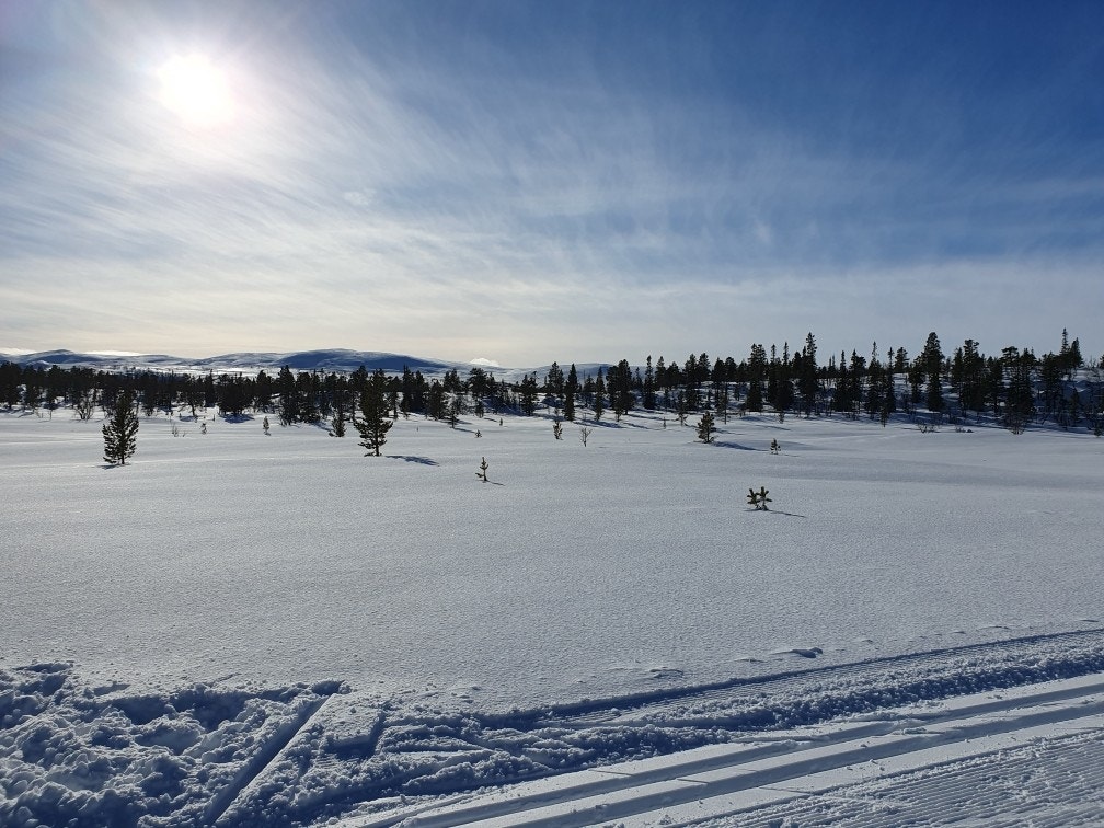 Solnedgang vinterstid Galleribilde