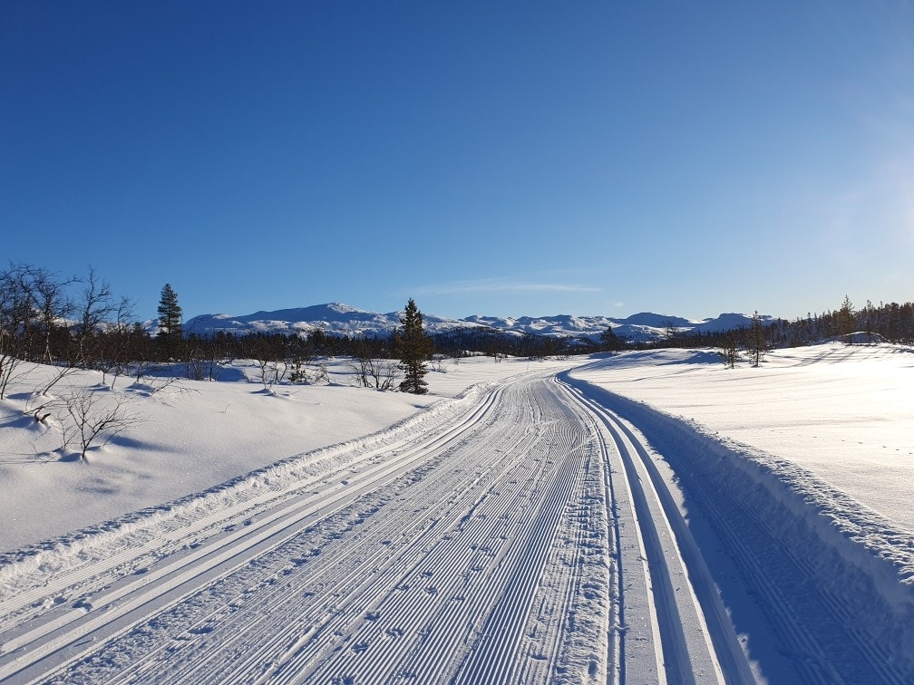 Fine oppkjørte løyper Galleribilde