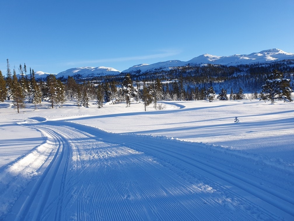 Vinteren kommer Galleribilde