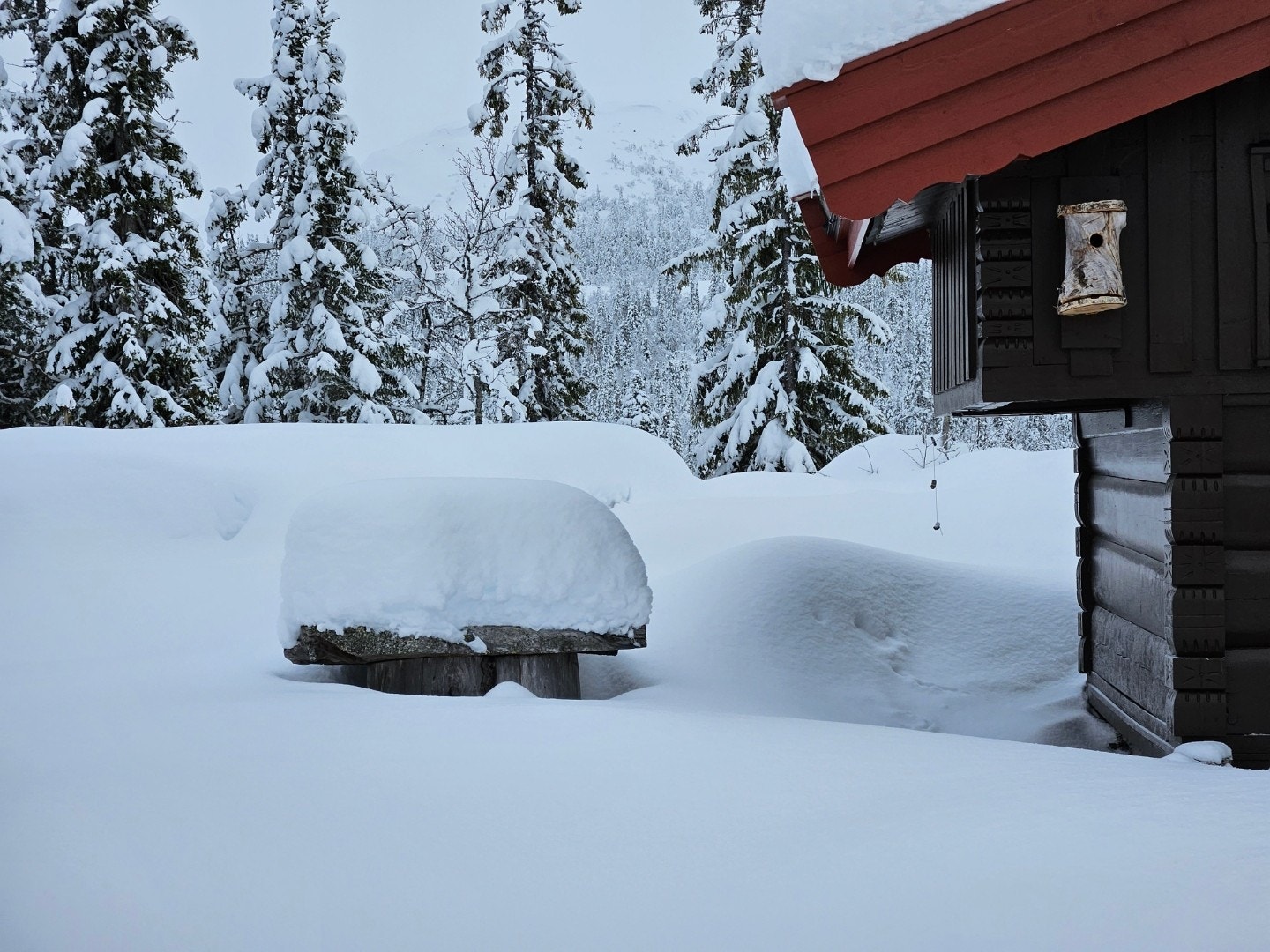 Snørikt Galleribilde