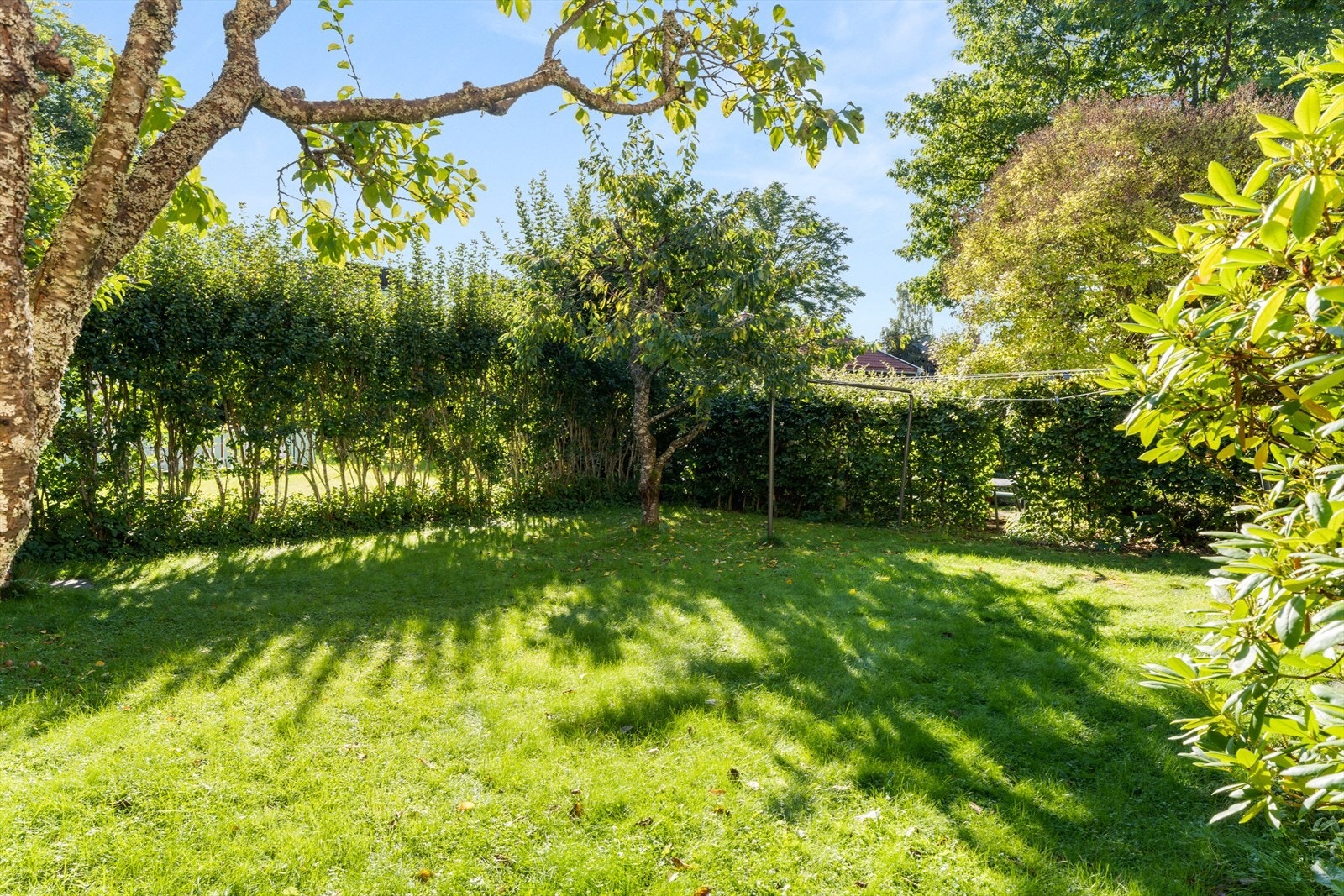 Et ekte paradis for hageentusiasten, med et frodig mangfold av trær og planter: to magnoliaer (en hvit og en rosa), morell- og mandeltre, rododendron, hagtorn og en rik rosevegg. Galleribilde