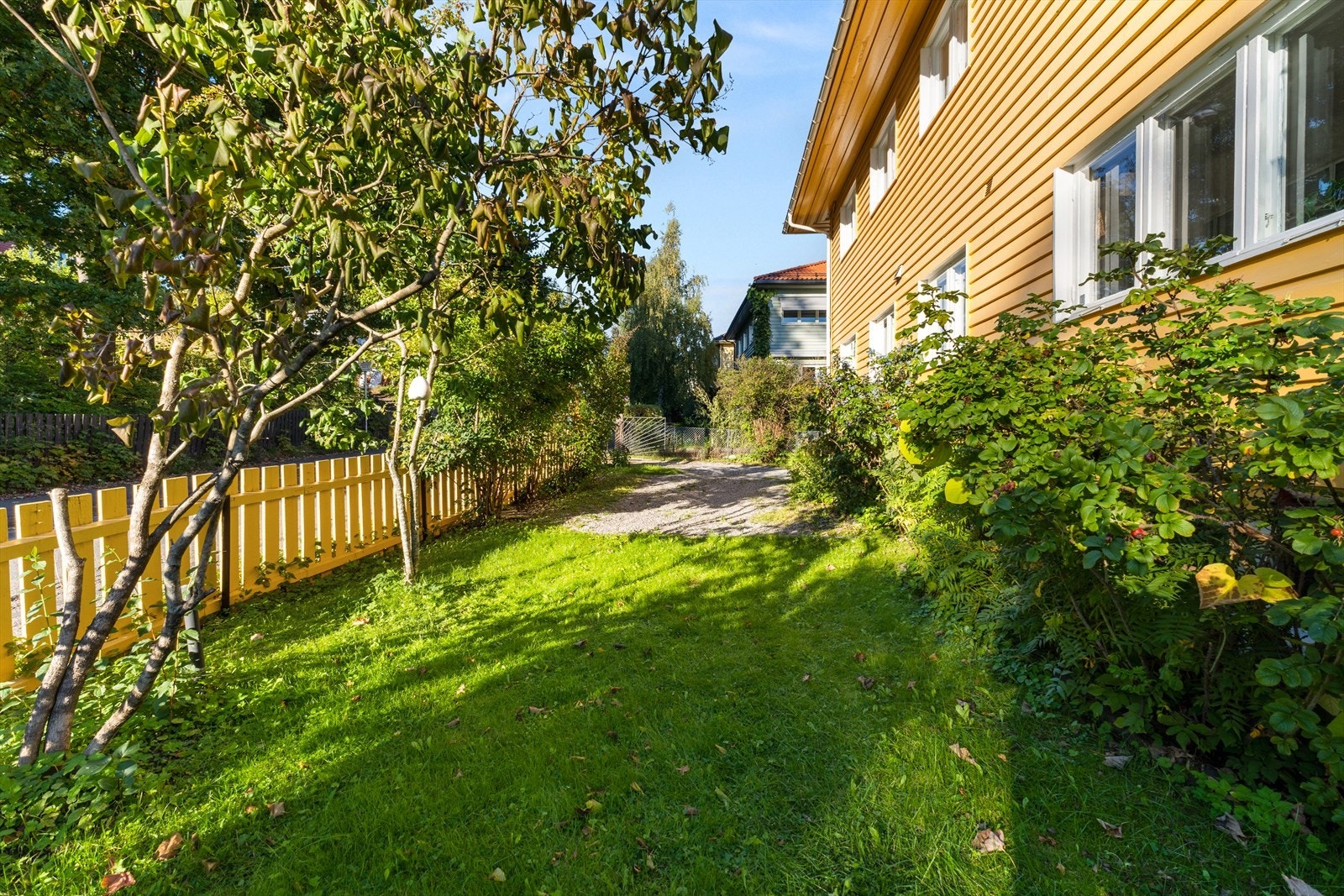 Flere gamle pioner, jordskokk, druer, nyper og sjasmin skaper liv og farge gjennom hele sesongen, og et drivhus gir mulighet for dyrking året rundt. Galleribilde