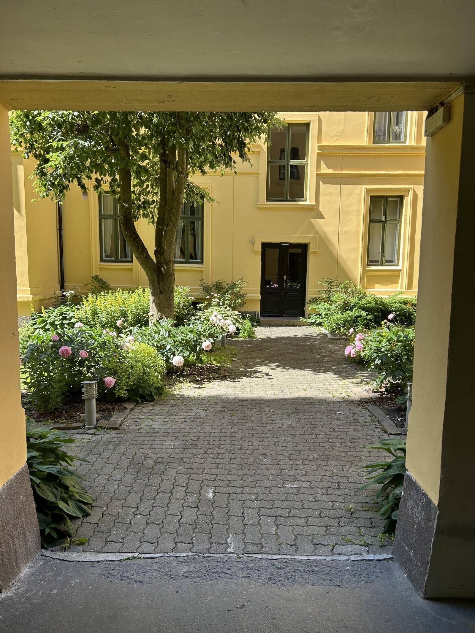 Selgers bilde anno sommer 2025 Galleribilde