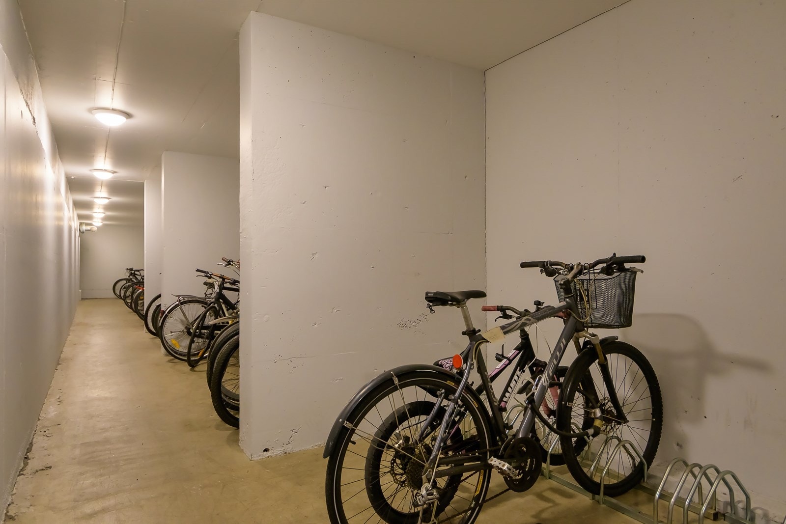 Låst sykkelbod i kjelleren. Galleribilde