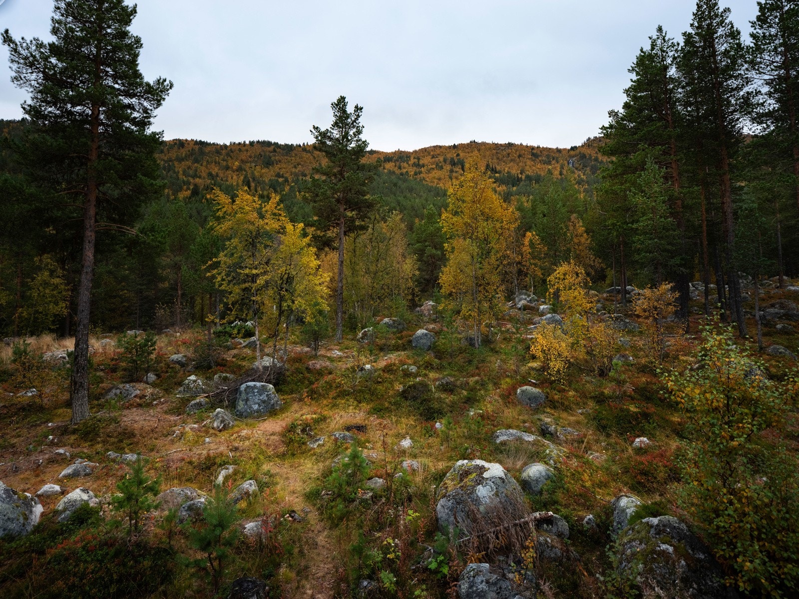 Her er det uendelige muligheter for et aktivt hytteliv Galleribilde