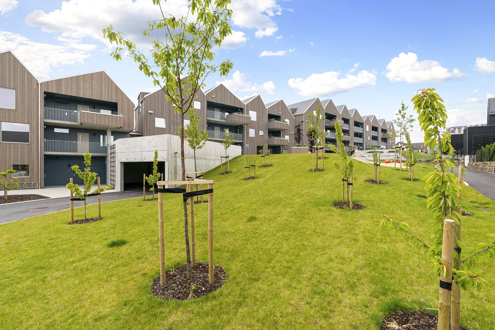 Beliggenheten er flott. Sameiet har alt du trenger, til og med en egen park med frukttrær. Galleribilde